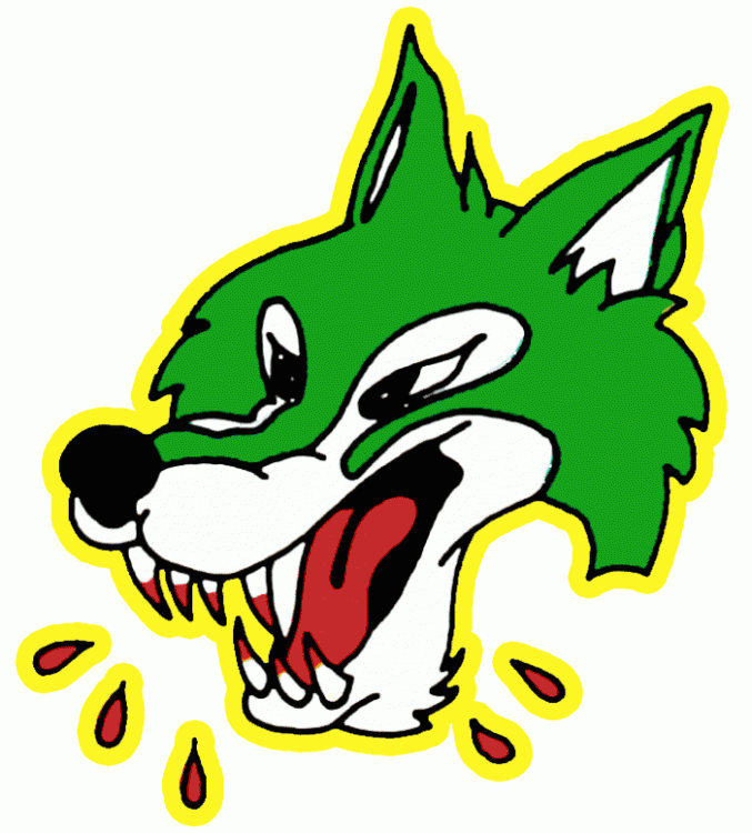 Sudbury Wolves 1981-1989 jersey logo iron on transfers for clothing